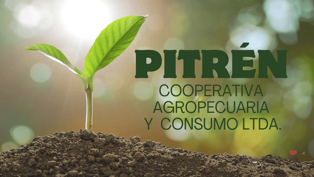 Pitrén Cooperativa Agropecuaria y Consumo LTDA